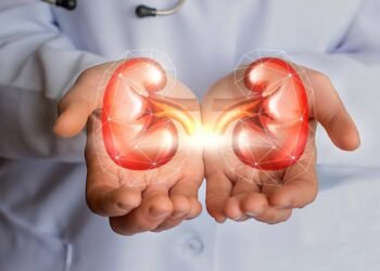 Cómo daña el exceso de consumo de sal los riñones