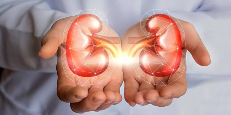 Cómo daña el exceso de consumo de sal los riñones