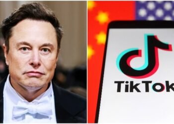 Elon Musk criticó la inteligencia artificial de TikTok: cree que explora el cerebro