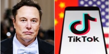 Elon Musk criticó la inteligencia artificial de TikTok: cree que explora el cerebro