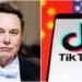 Elon Musk criticó la inteligencia artificial de TikTok: cree que explora el cerebro