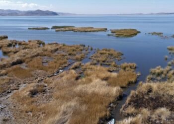 Aguas del lago Titicaca descienden a niveles históricos por cambio climático