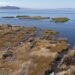 Aguas del lago Titicaca descienden a niveles históricos por cambio climático