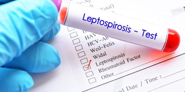 La leptospirosis ha causado 23 muertes
