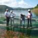 Más de RD$400 millones aporta a la economía dominicana la producción de tilapias