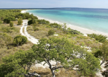 Capacitación de capital humano es necesario para el desarrollo turístico de Pedernales