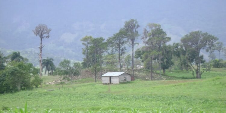 Ven insólito sembrar maíz en Guyana, con 8.1 millones de tareas de tierra sub-utilizadas y abandonadas en RD”