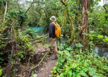 El calentamiento global amenaza el proceso de fotosíntesis de los bosques tropicales