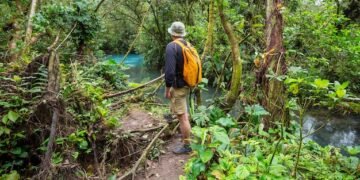 El calentamiento global amenaza el proceso de fotosíntesis de los bosques tropicales