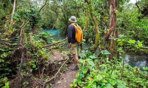 El calentamiento global amenaza el proceso de fotosíntesis de los bosques tropicales