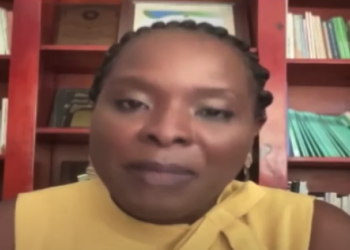 Arquitecta del canal de Juana Méndez dice obra representa símbolo de resistencia sobre RD