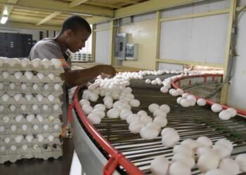 Asohuevo teme ir a la quiebra por medidas de cierre de frontera