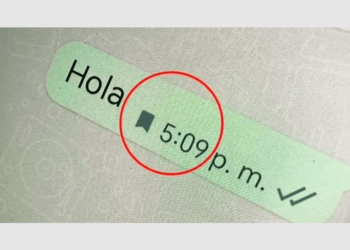 WhatsApp: cuál es el significado del nuevo ícono de la bandera que aparece en los mensajes