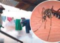 El país se encamina hacia su mayor pico del brote de dengue