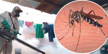 El país se encamina hacia su mayor pico del brote de dengue