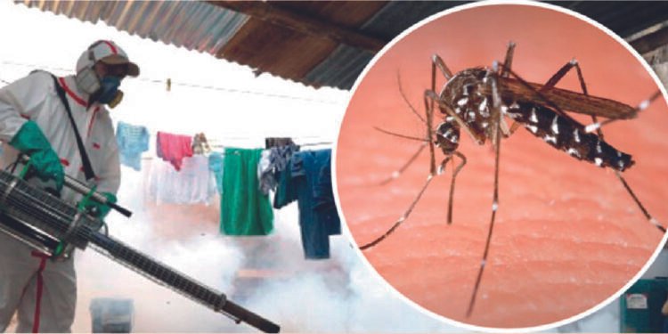 El país se encamina hacia su mayor pico del brote de dengue