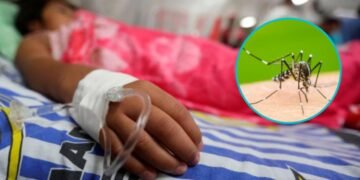 Se registraron 1,093 casos de dengue en la última semana en el país