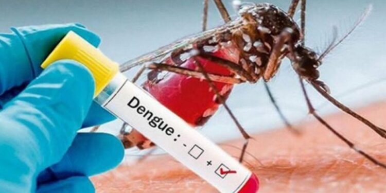 Sociedad de Infectología advierte dengue está fuera de control