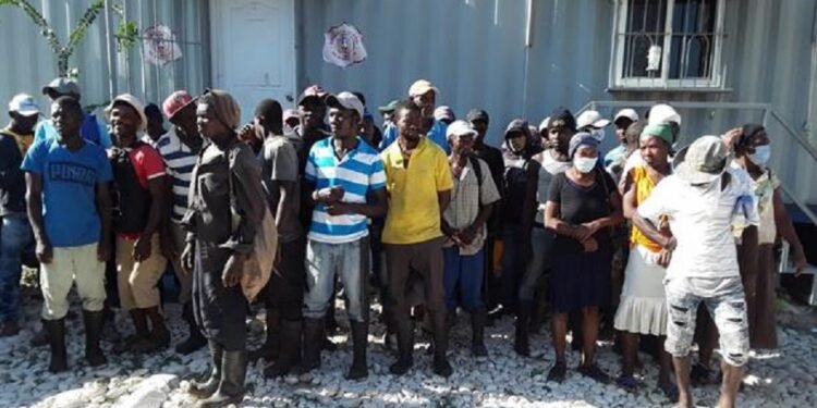 Cancillería de Haití expresa preocupación por seguridad de haitianos en RD