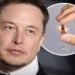 Empresa de Elon Musk recluta voluntarios para su primer ensayo de implante cerebral en humanos