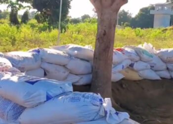 Preparan trincheras de ambos lados de la frontera domínico-haitiana