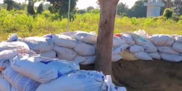 Preparan trincheras de ambos lados de la frontera domínico-haitiana
