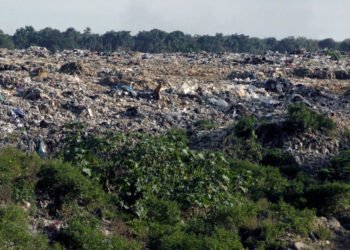 Empresa española trabaja en la instalación de una  planta de coprocesamiento de residuos en el Gran Santo Domingo