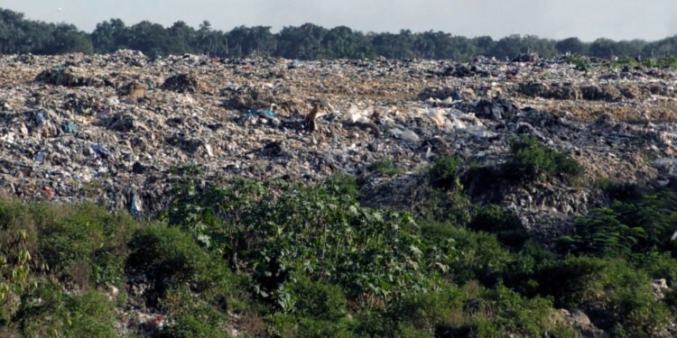 Empresa española trabaja en la instalación de una  planta de coprocesamiento de residuos en el Gran Santo Domingo