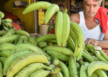 ‘No hay azúcar y los plátanos están a 3 por $100’