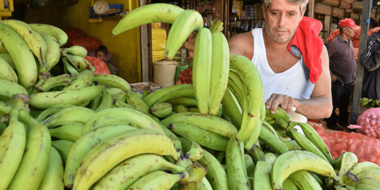 ‘No hay azúcar y los plátanos están a 3 por $100’