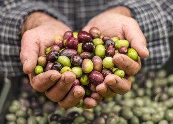 California se convierte en el primer estado de EE.UU. en prohibir cuatro aditivos tóxicos en alimentos