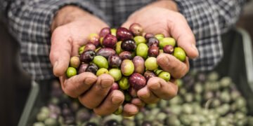 California se convierte en el primer estado de EE.UU. en prohibir cuatro aditivos tóxicos en alimentos