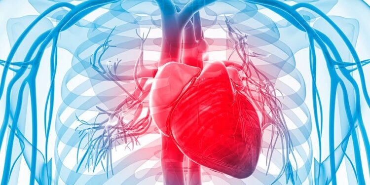 Enfermedades cardiovasculares y el cáncer causan más del 50% de las muertes en República Dominicana