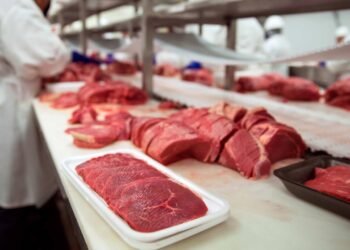 Industria cárnica de República Dominicana genera casi 9,000 empleos formales