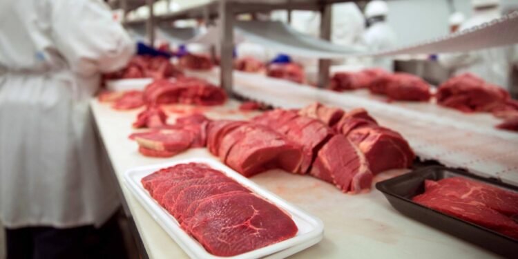 Industria cárnica de República Dominicana genera casi 9,000 empleos formales