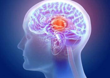 Crean el mapa más detallado del cerebro humano