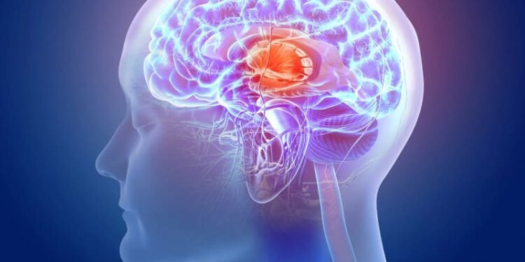 Crean el mapa más detallado del cerebro humano