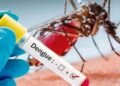 Infectólogos exhortan a arreciar la respuesta ante auge del dengue