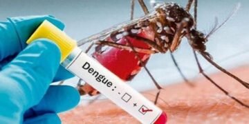 Infectólogos exhortan a arreciar la respuesta ante auge del dengue