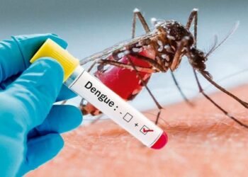 OMS recomienda la primera vacuna contra el dengue