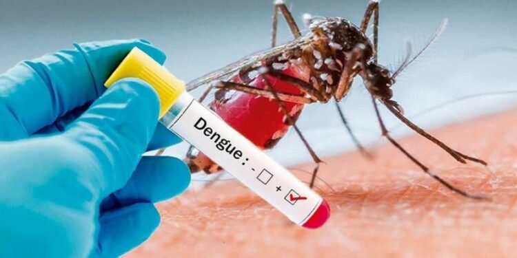 OMS recomienda la primera vacuna contra el dengue