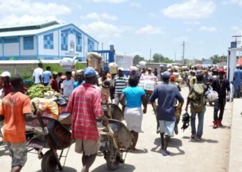 Haití quiere diversificar sus socios comerciales por cierre frontera RD