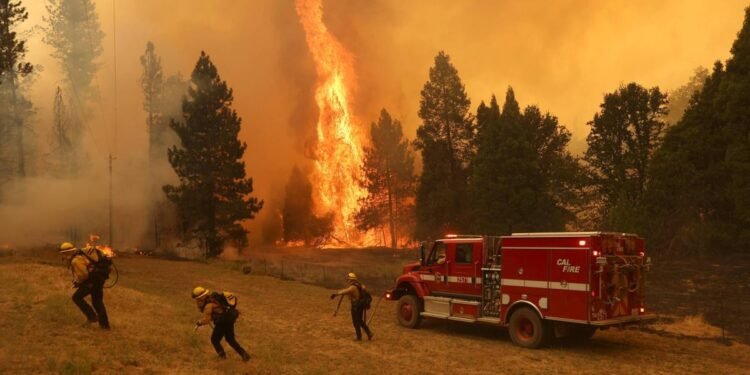 El cambio climático obstaculiza la prevención de incendios en EEUU, según estudio