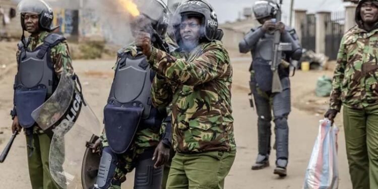 Crecen las críticas en Kenia por la «riesgosa» misión en Haití