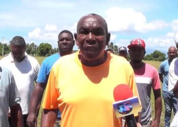 Productores de cebolla del sur demandan pago de RD$600 millones a Agricultura