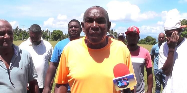 Productores de cebolla del sur demandan pago de RD$600 millones a Agricultura