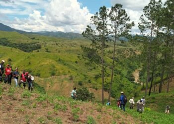 Siembran  74,000 árboles en el área de la cuenca Artibonito