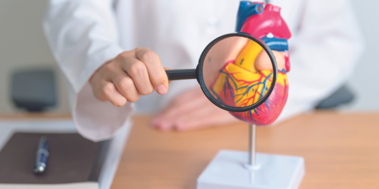 Los malos hábitos que afectan al corazón