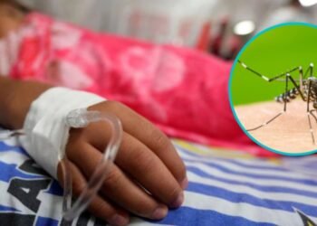 Después que se quita la fiebre puede ser la etapa más peligrosa del dengue