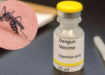 Vacuna contra el dengue: Lo que recomiendan los CDC